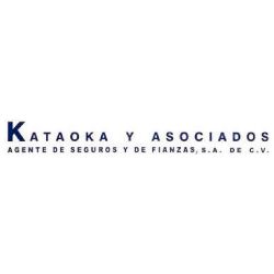 Kataoka (Corporación Kataoka, S.C.)