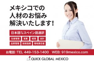 Página Web: Quick Global México, S.A. de C.V.